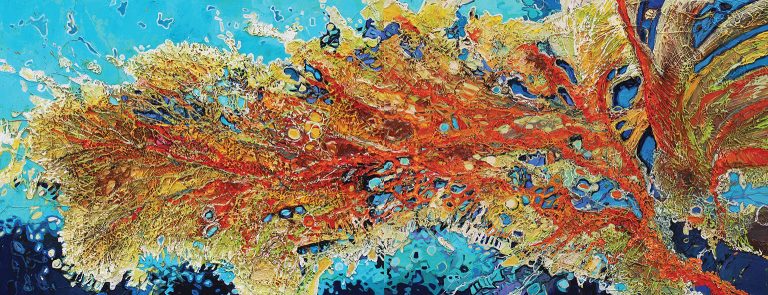 Michael Ouzikov. Михаил Узиков. Corals